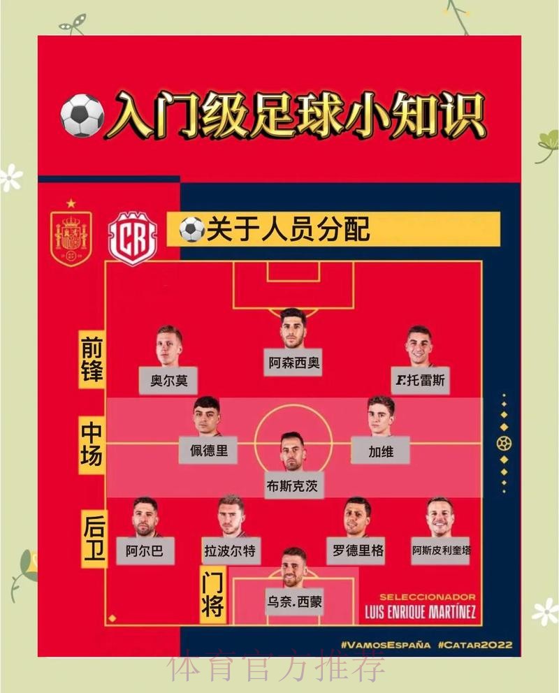 深入解读世界杯外围稳定性的核心因素